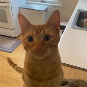 Meet your Posher, Claudia